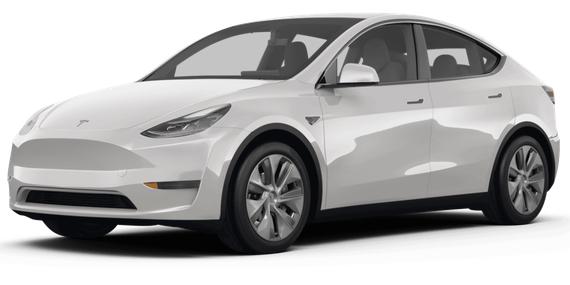 TESLA MODEL Y 2024 7SAYGDEE8RF004096 image
